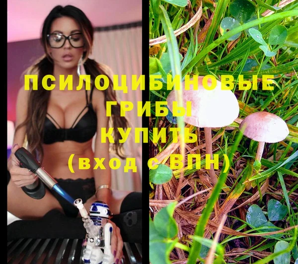 первитин Абаза