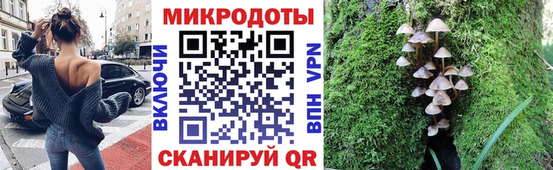 купить наркотики сайты  Яровое  Галлюциногенные грибы Psilocybine cubensis 